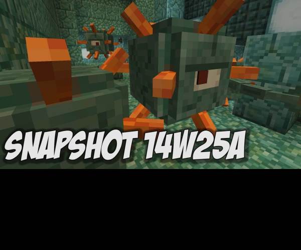 Snapshot