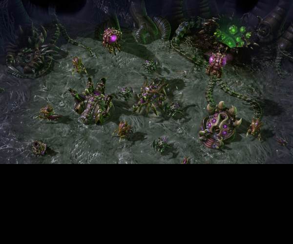 StarCraft II: Heart of the Swarm