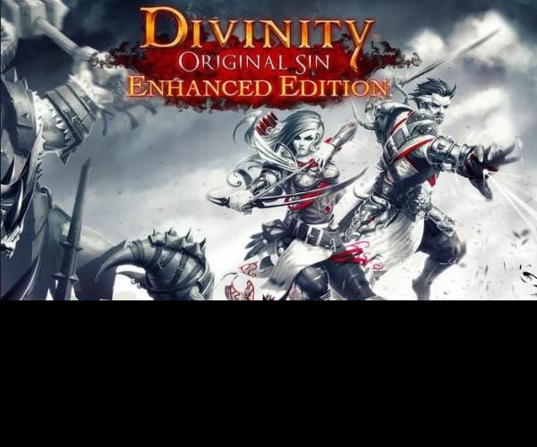 Divinity: Original Sin - Enhanced Edition