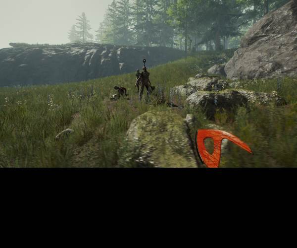 The Forest