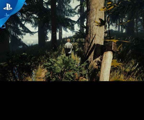 The Forest