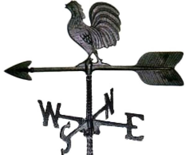 Vane