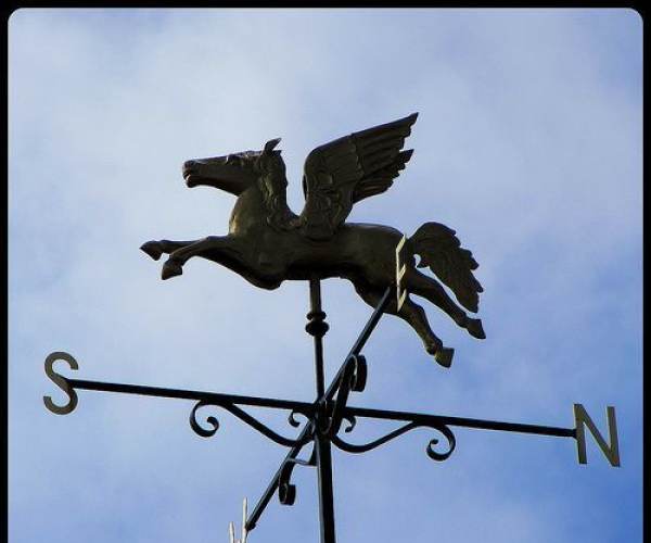 Vane