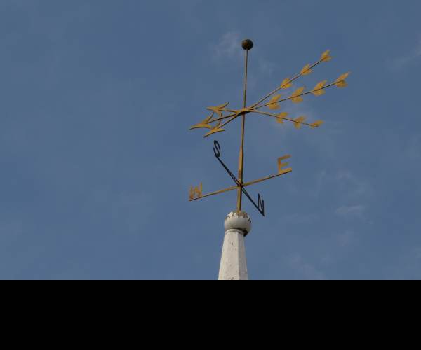 Vane