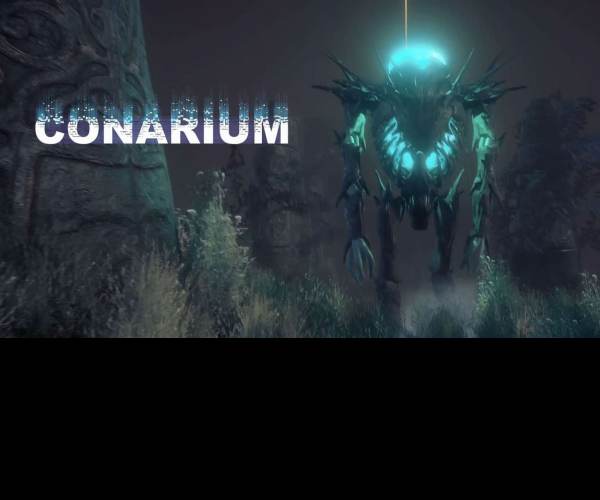 Conarium