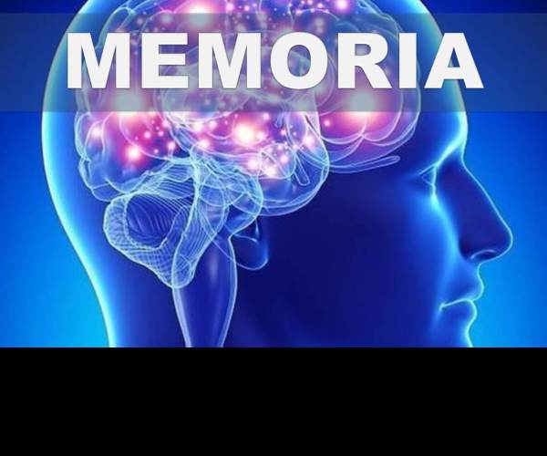 Memoria