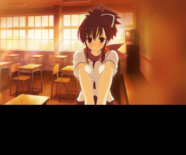SENRAN KAGURA Reflexions