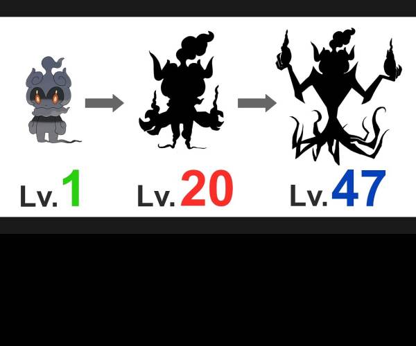 Evolution