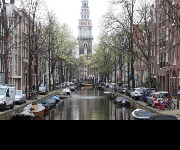 Hamsterdam