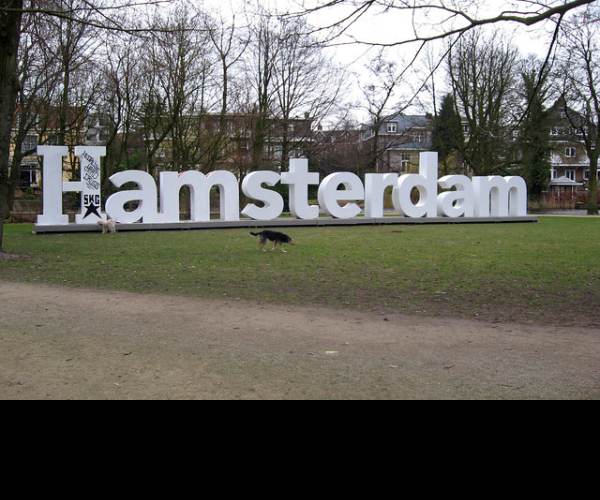 Hamsterdam