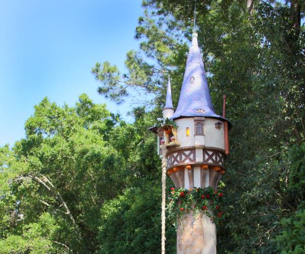 Tangle Tower