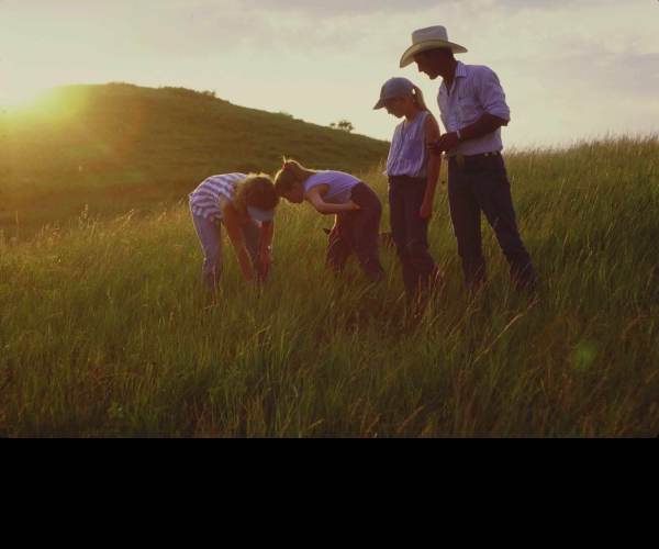 Family Farm