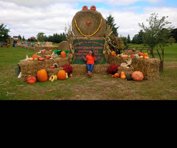 Family Farm