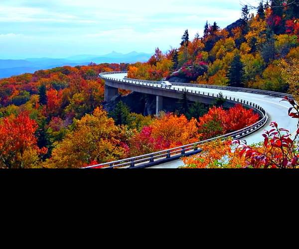 Virginia