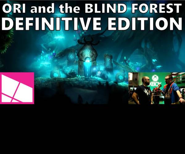 Ori and the Blind Forest: Definitive Edition