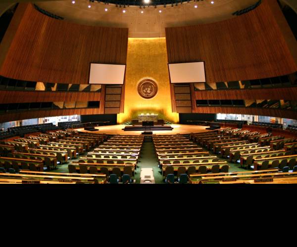 The Assembly