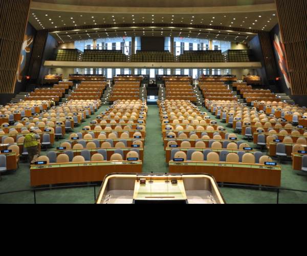 The Assembly
