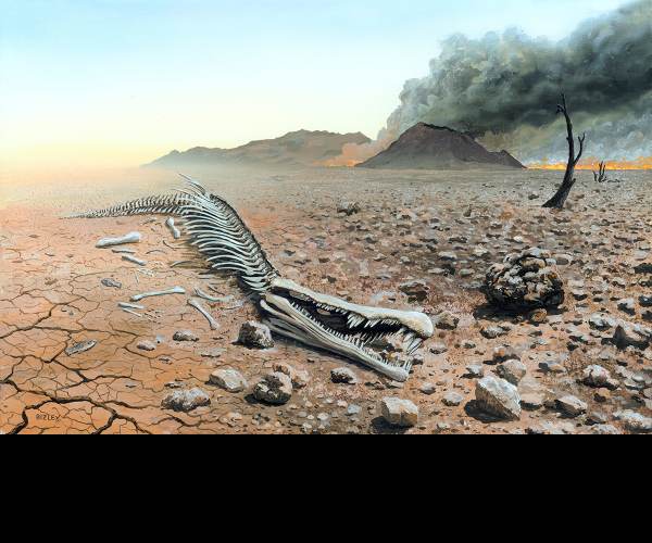 Extinction
