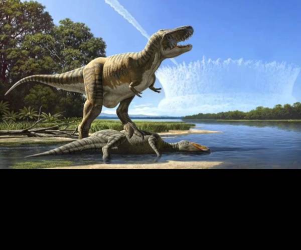 Extinction