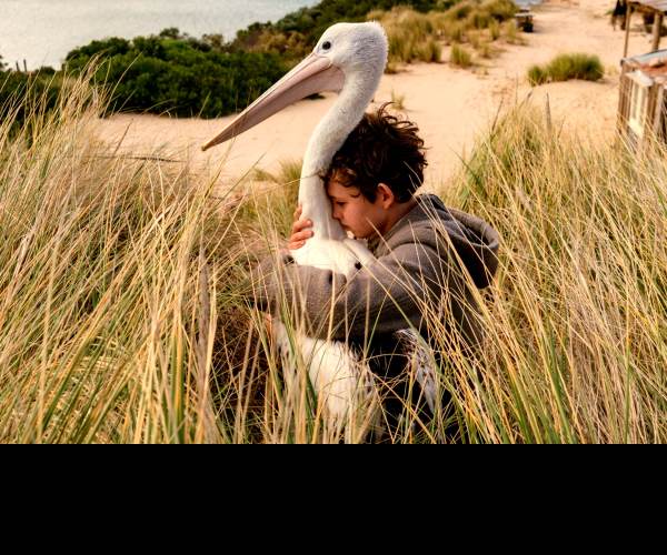 Storm Boy