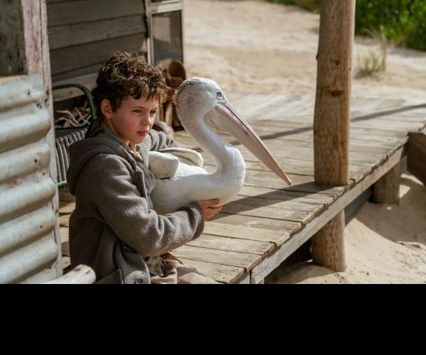 Storm Boy