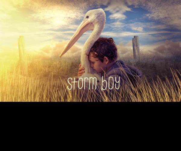 Storm Boy