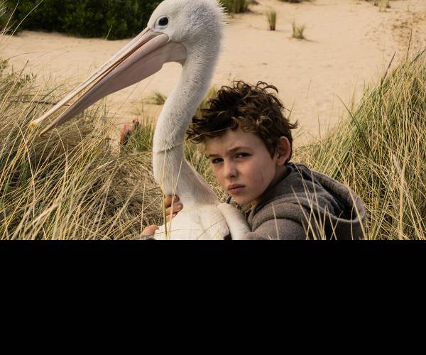 Storm Boy