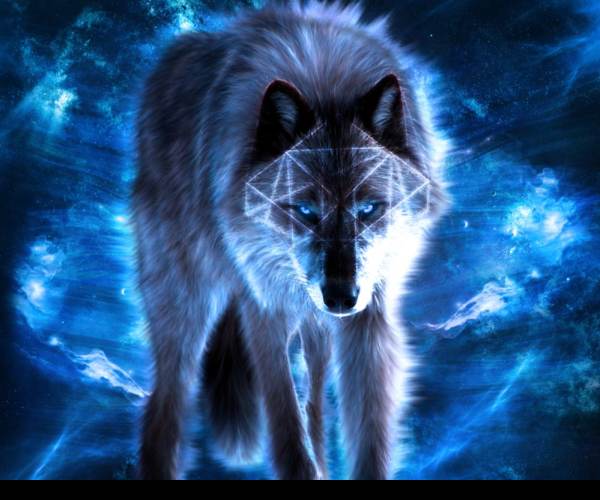 Star Wolves