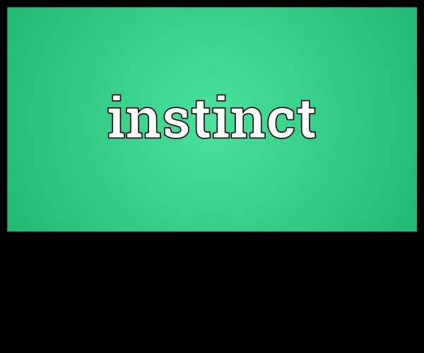 Instinct