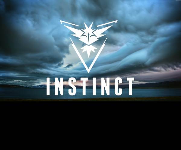 Instinct