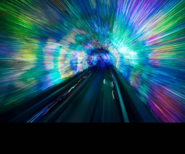 Warp