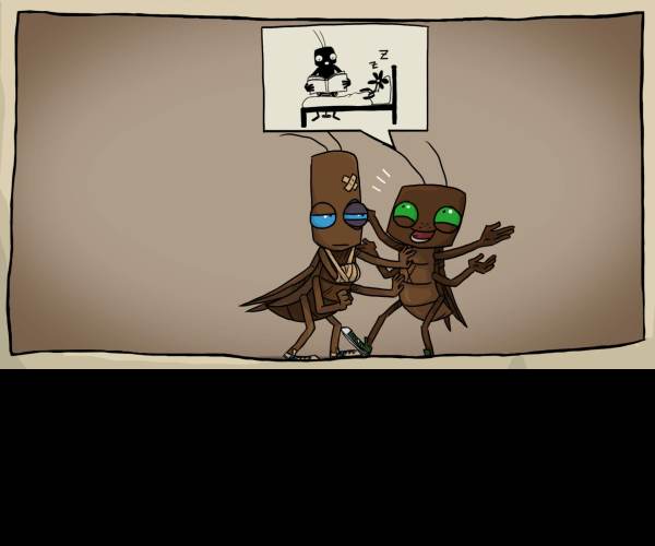 Journey of a Roach