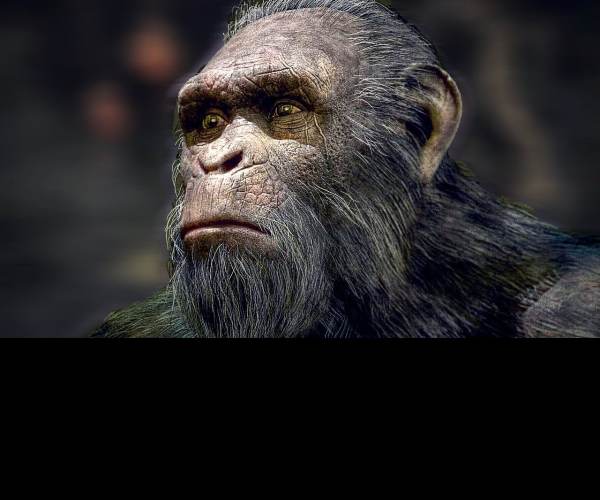 Planet of the Apes