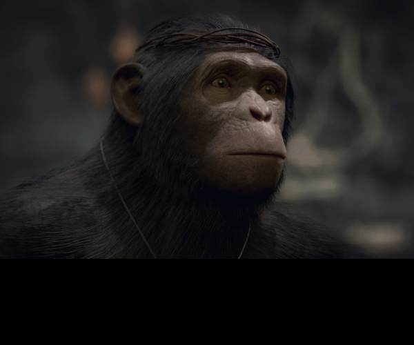 Planet of the Apes