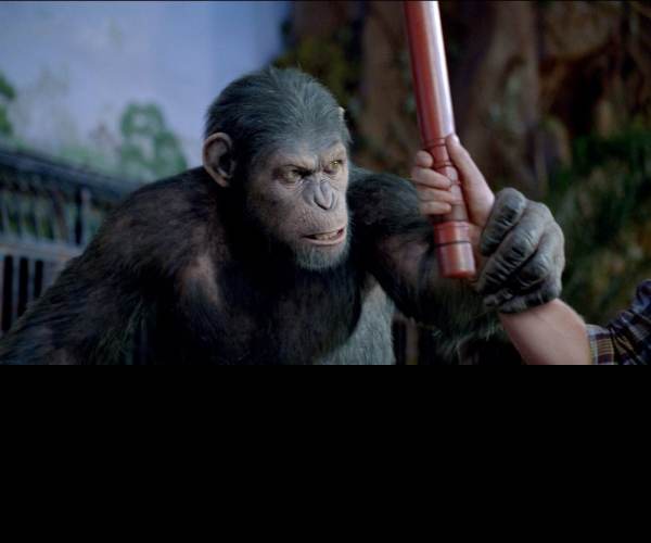 Planet of the Apes