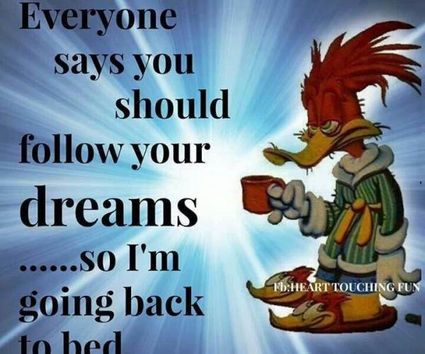 Back to Bed