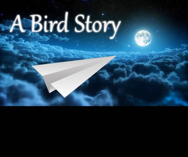 A Bird Story