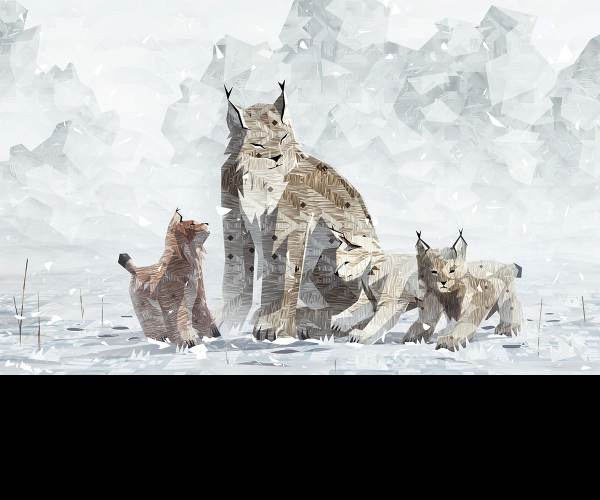 Shelter 2