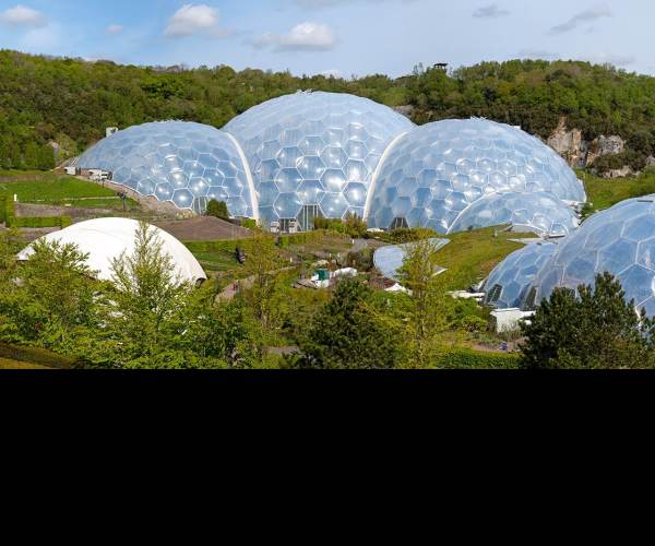 Project Eden