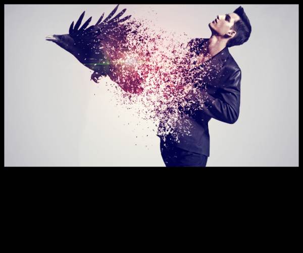 Disintegration