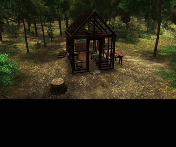 Walden, a game