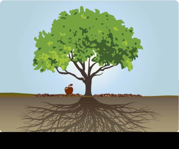 Family Tree