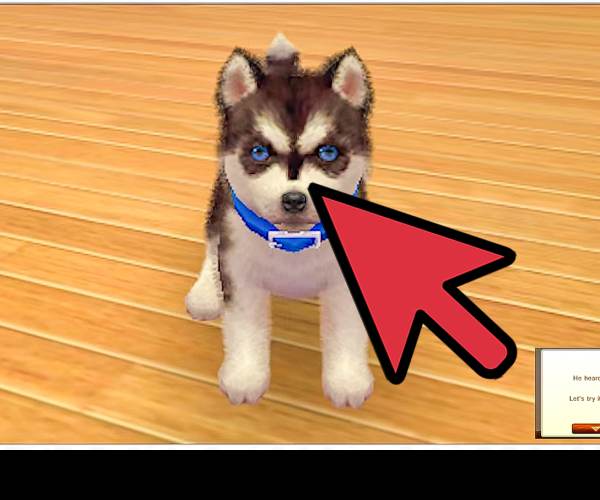 Nintendogs + Cats (3DS)