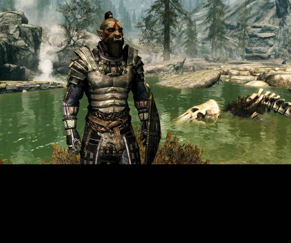 The Elder Scrolls 5: Skyrim