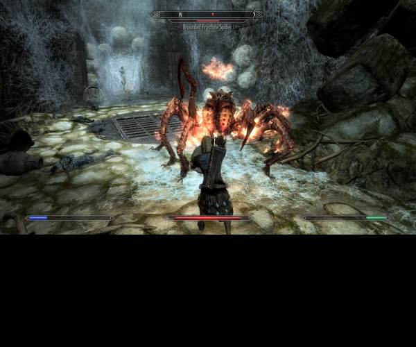 The Elder Scrolls 5: Skyrim
