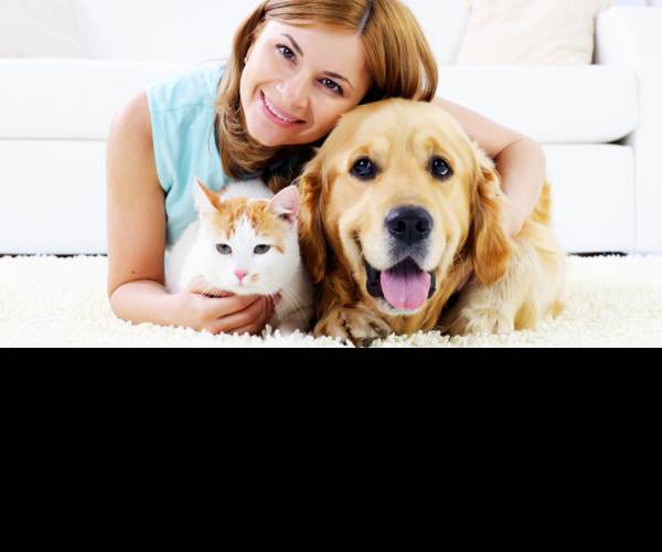 Pet Care