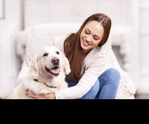 Pet Care