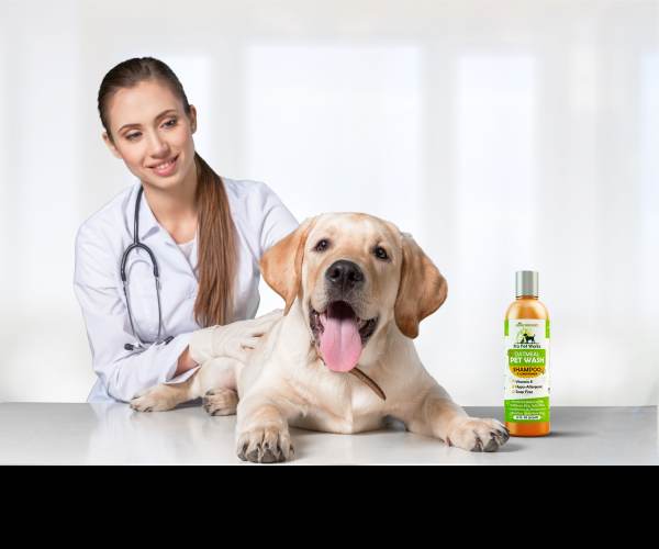 Pet Care
