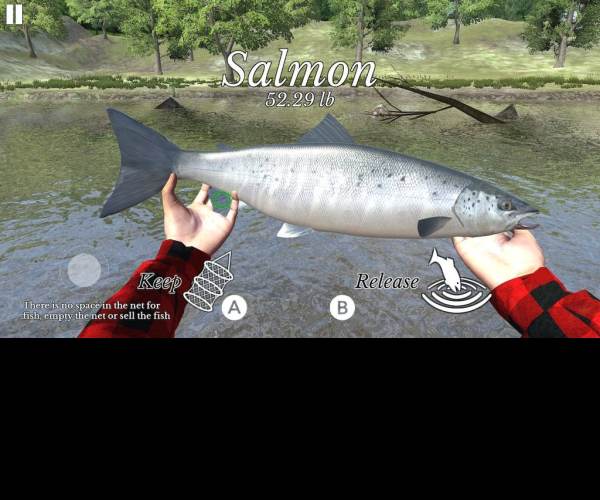 Fishing Universe Simulator