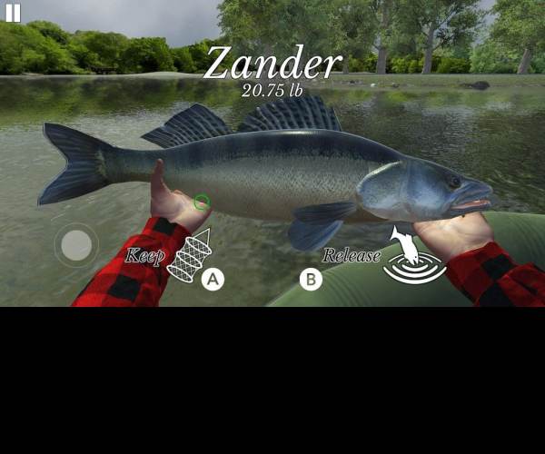 Fishing Universe Simulator